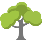 Auburn Tree Removal Service