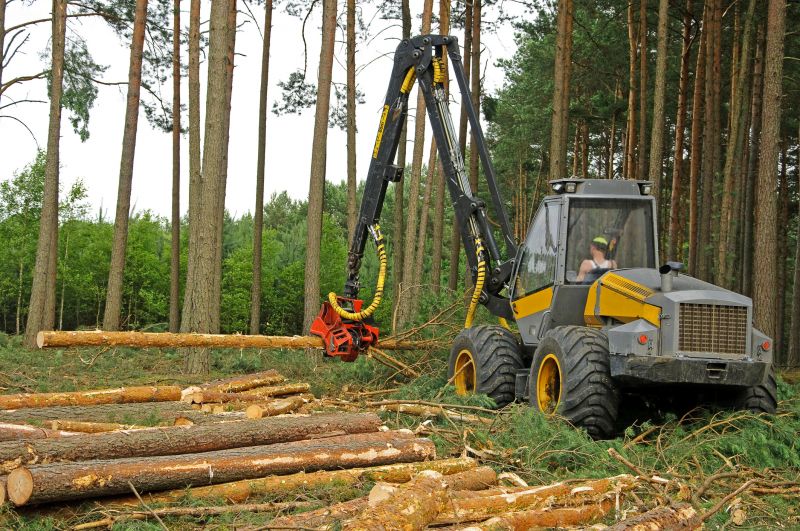 Equipment for Large Tree Removal